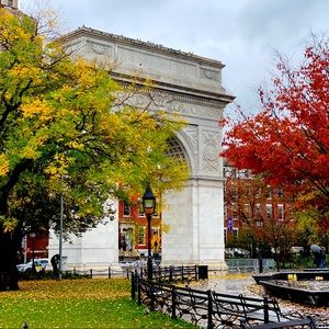 Meet your Posher, Lola!